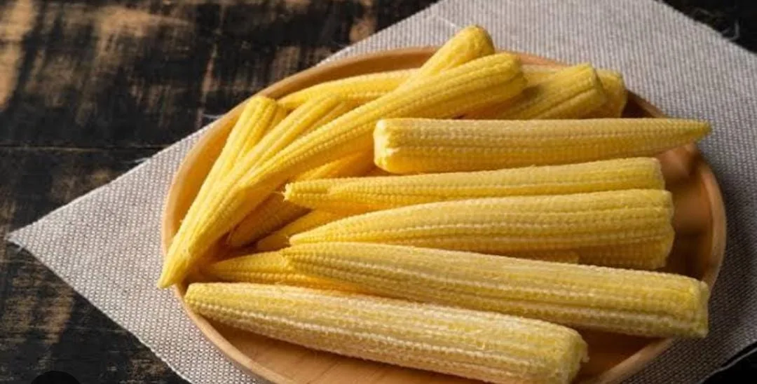 Jagung Muda
