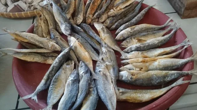 ikan asin