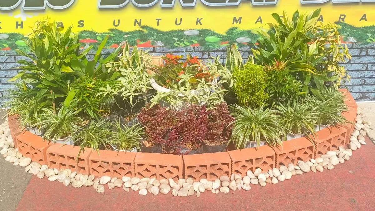 Dekorasi Taman dan Tanaman Hidup