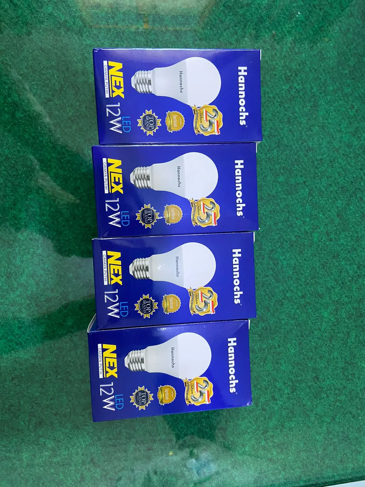 Lampu Hannochs 12 Watt LED