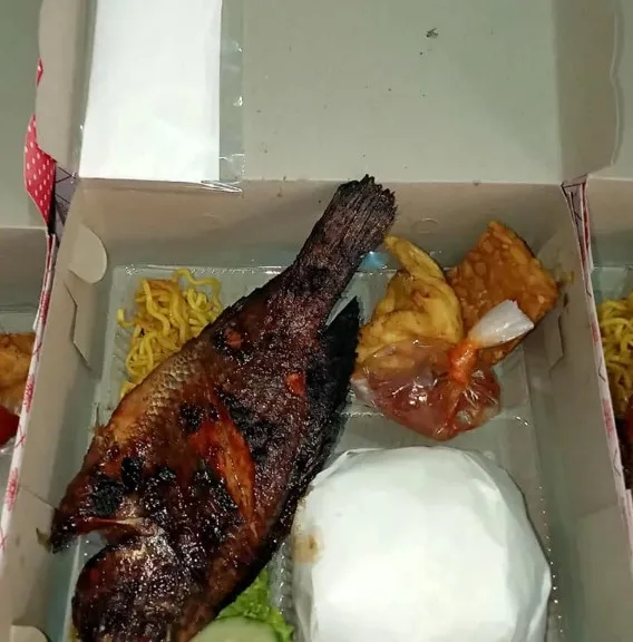Nasi kotak