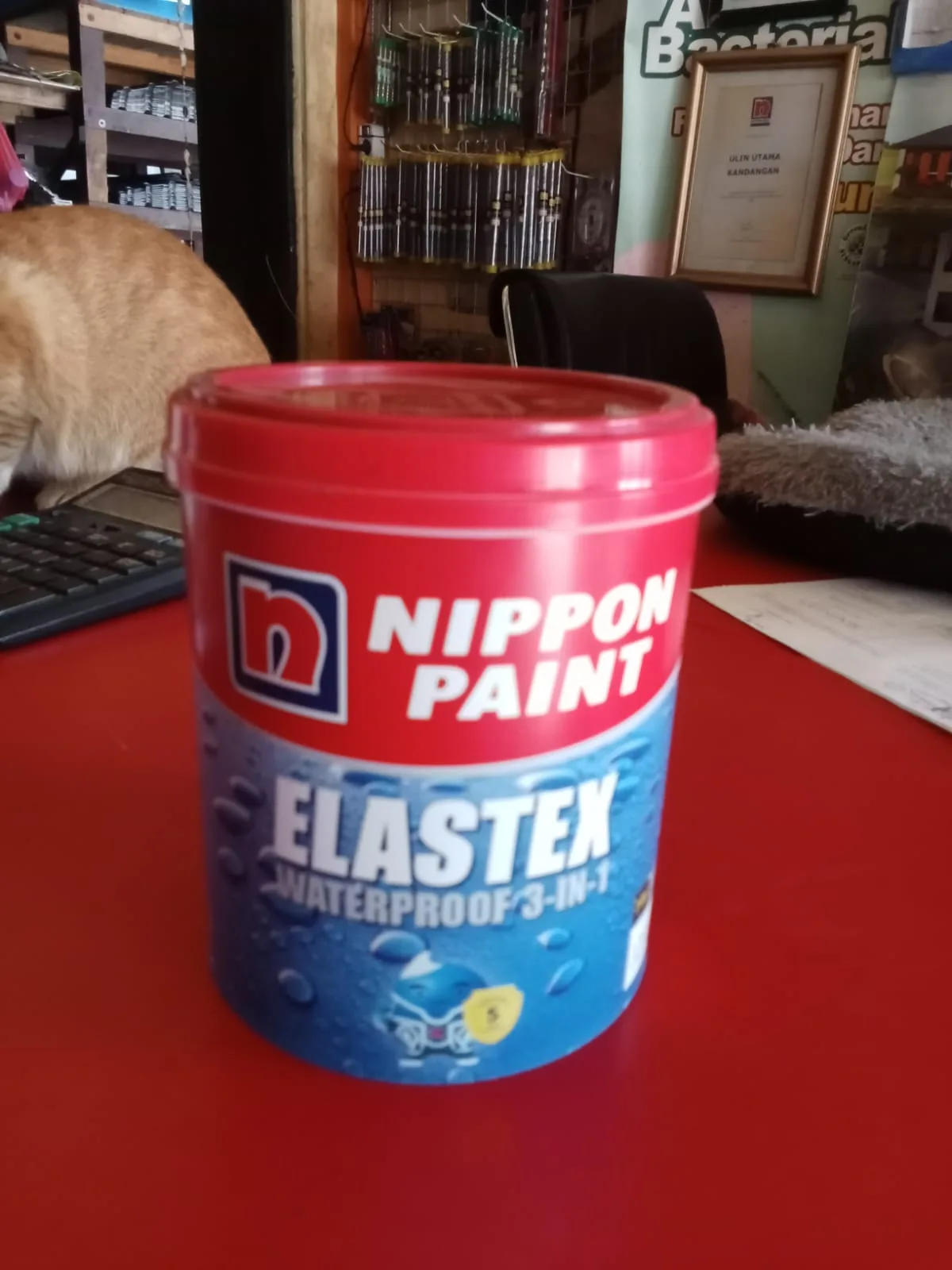 elastex