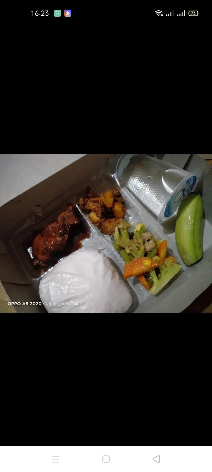 Nasi kotak