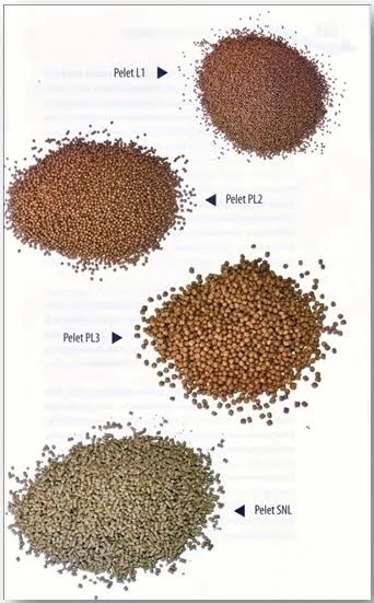 Pakan ikan LP1 (HAIDA HDPIN2)