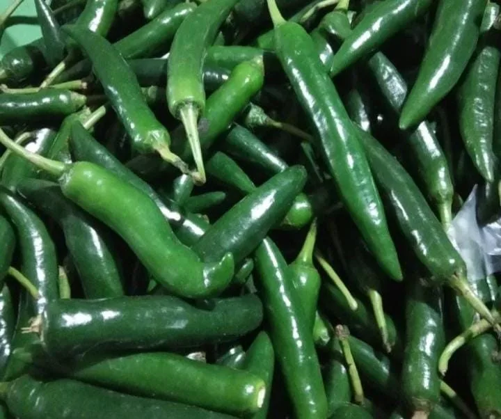 Cabe Hijau