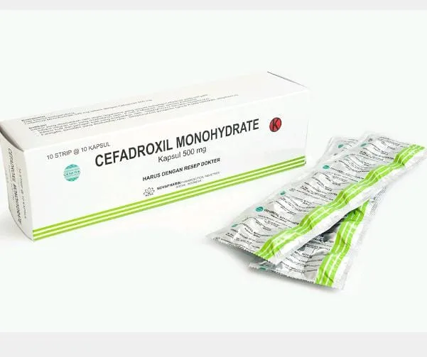 antibiotik setara cefadroksil