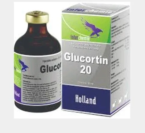 antihistamin setara glucortin 50 ml