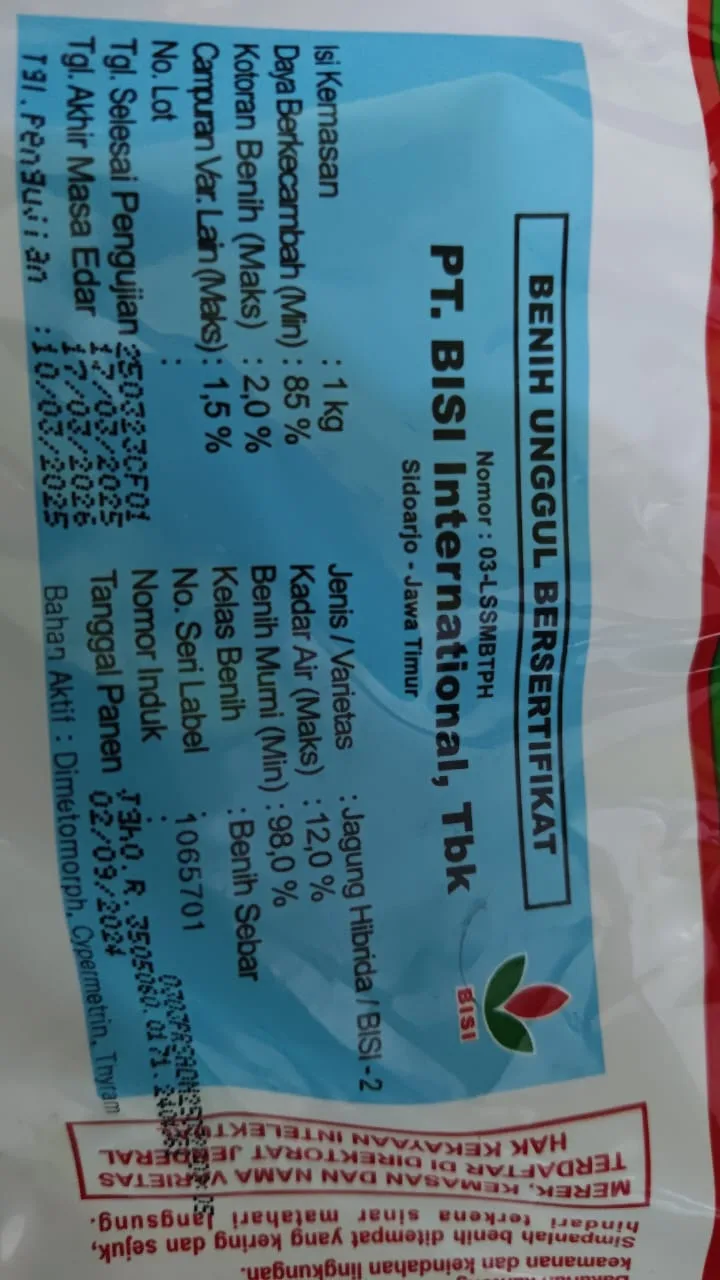 benih jagung pipil bisi 2
