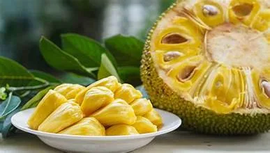 Buah Nangka