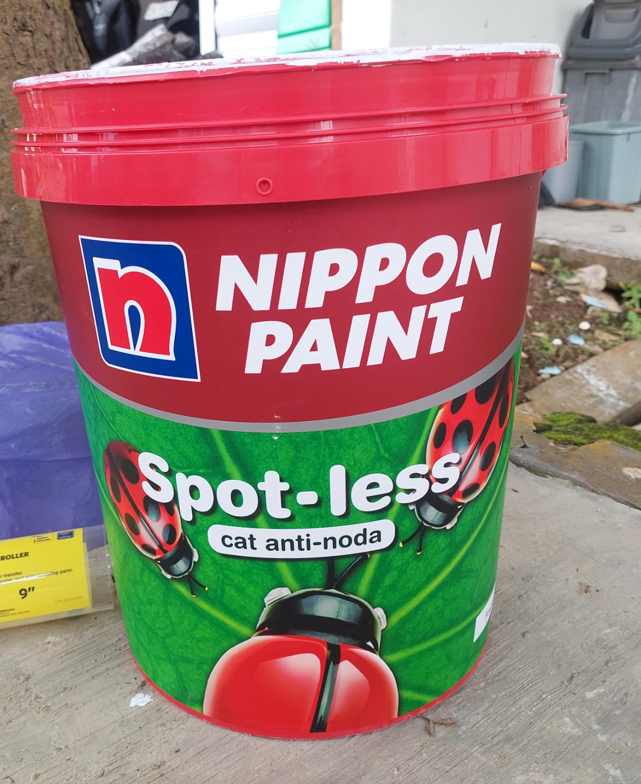 Cat Nippon Paint Spotless