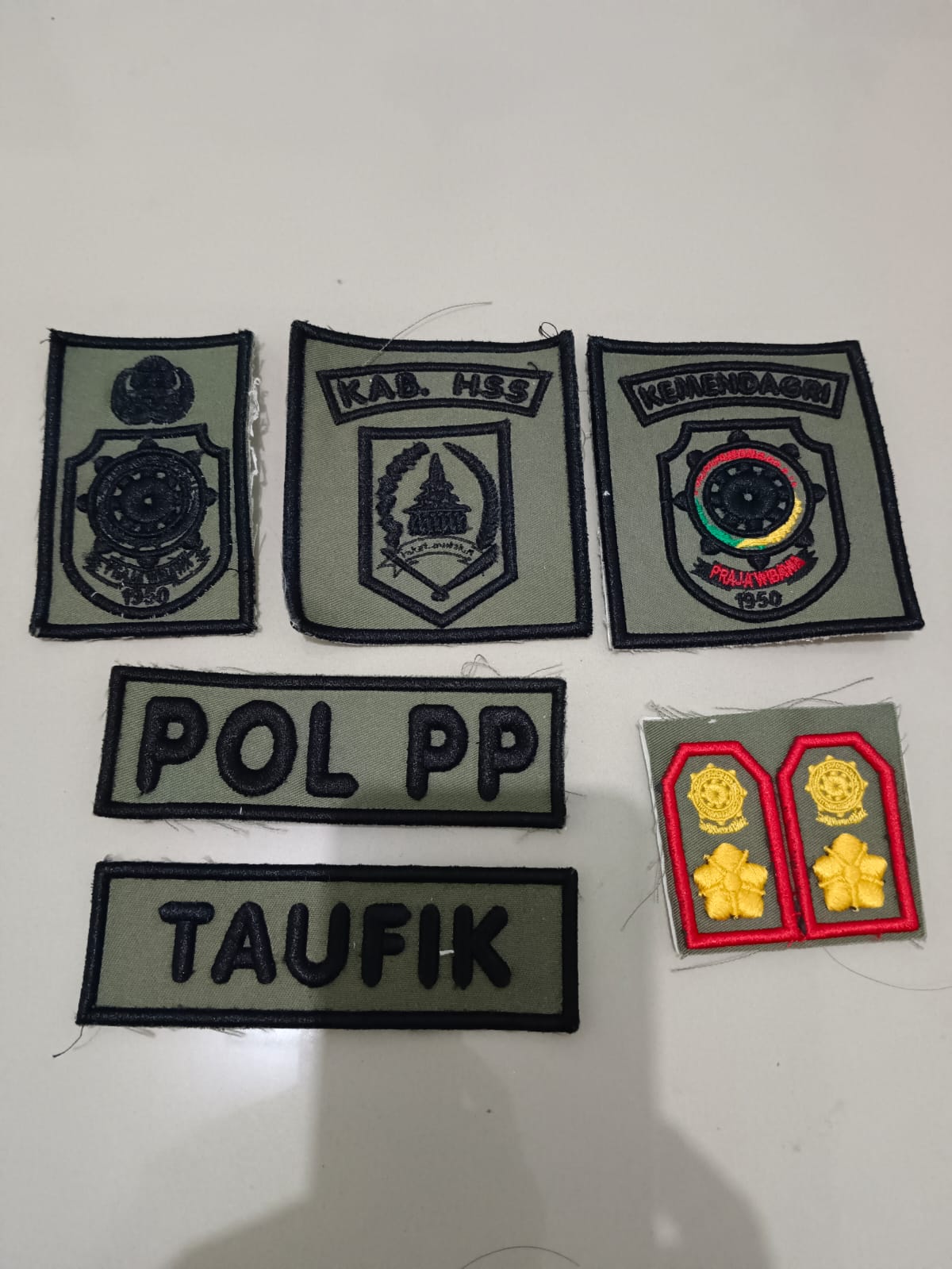 Lambang Seragam PDL