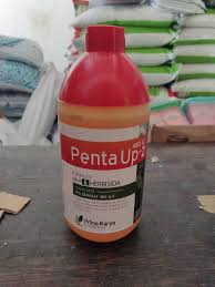 PENTA UP 480 SL Herbisida Sistemik