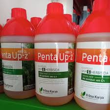 PENTA UP 480 SL Herbisida Sistemik