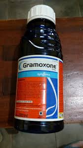 GARAMOXONE 276 SL Herbisida Kontak