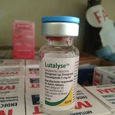 Inj Sinkronisasi Birahi Satara PGF20