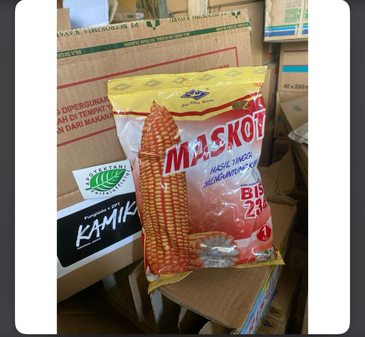 benih jagung bisi 234