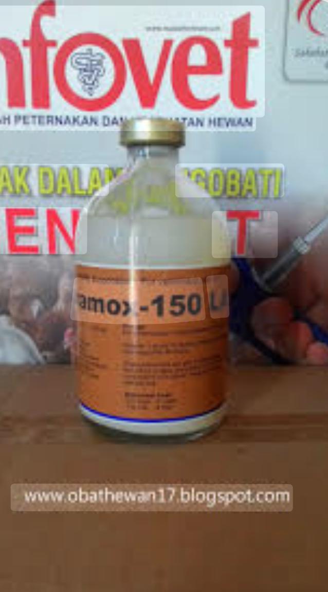 Antibakteri intramox-150 LA