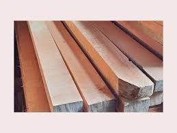 kayu maranti