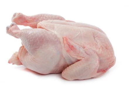 ayam broiler