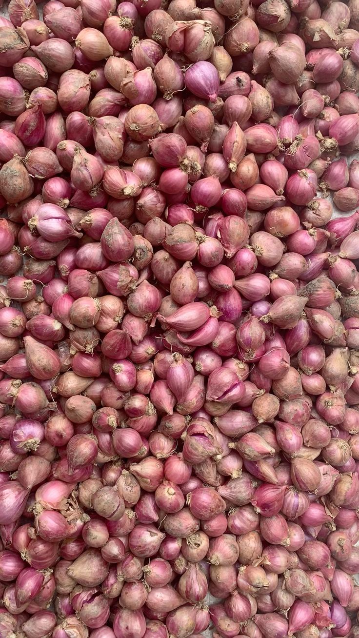 Bawang Merah
