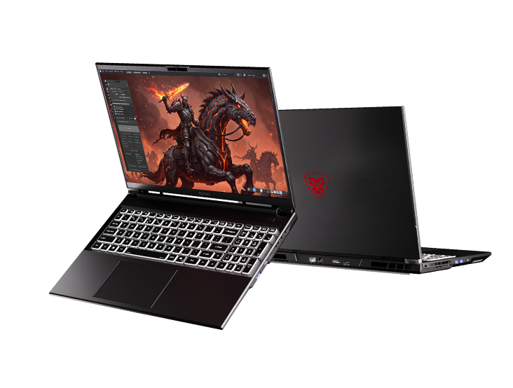 Laptop Axioo Pongo 755