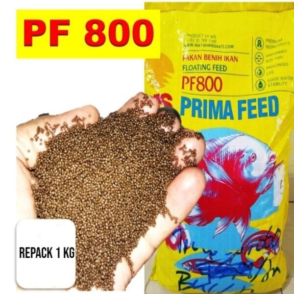 Pakan Ikan PF 800