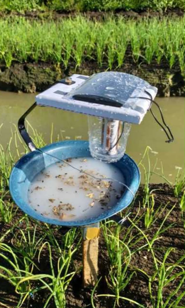 Lampu Solar Cel Perangkap Hama