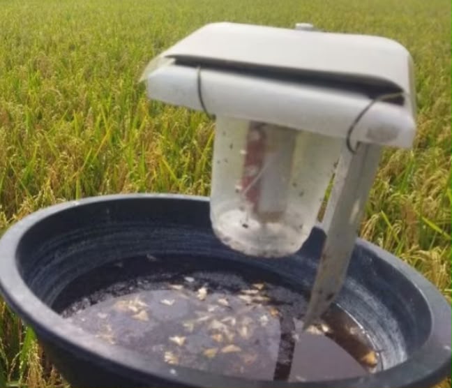 Lampu Solar Cel Perangkap Hama