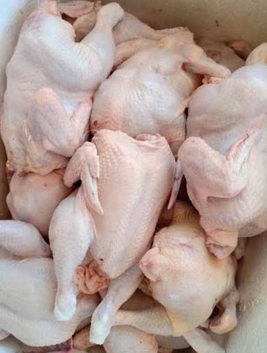 Ayam Kota/Ras Segar
