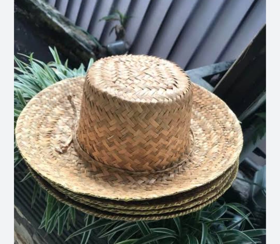 Topi Purun