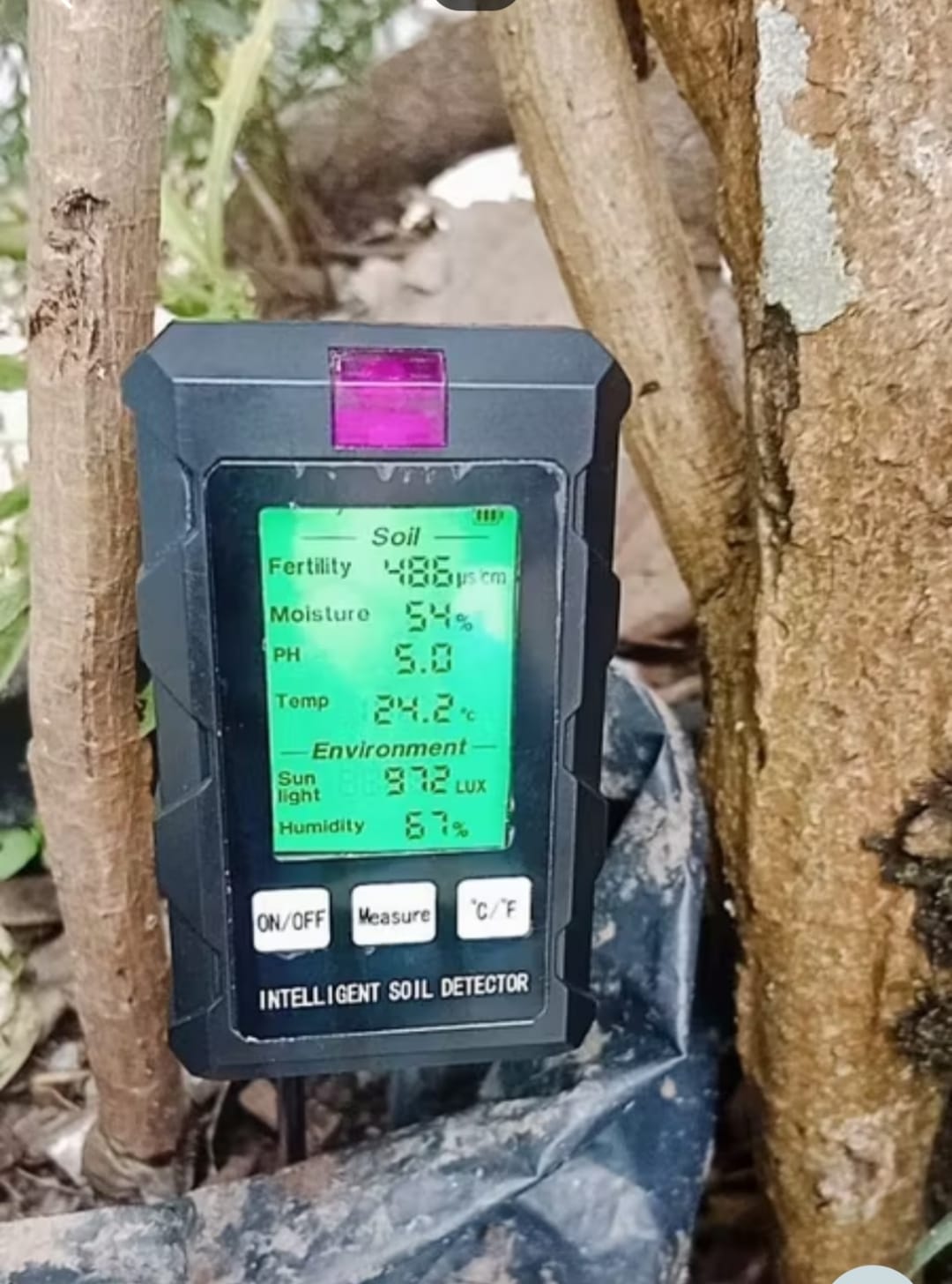 PH Meter Tanah (Digital)