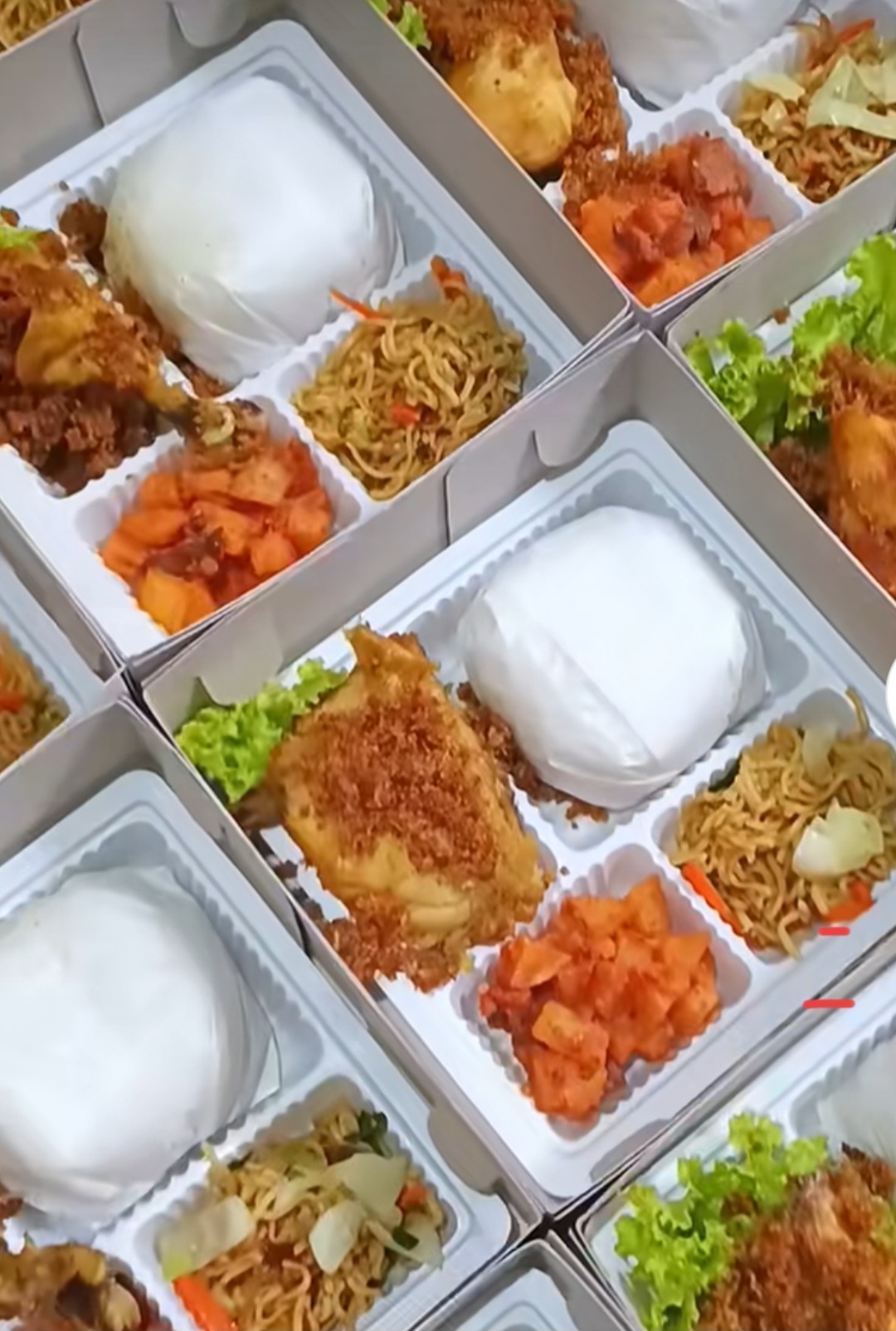 Nasi kotak